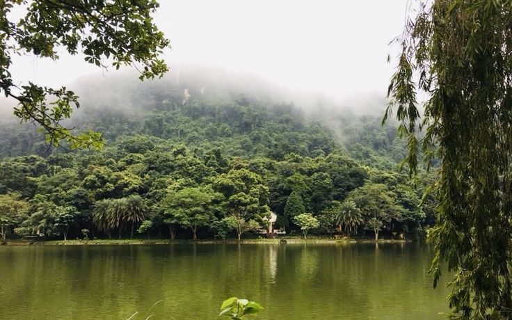 Cuc Phuong National Park