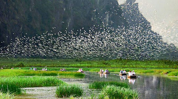 Van Long Nature Reserve